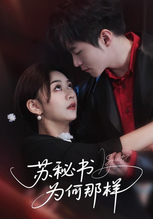 《苏秘书为何那样》剧照