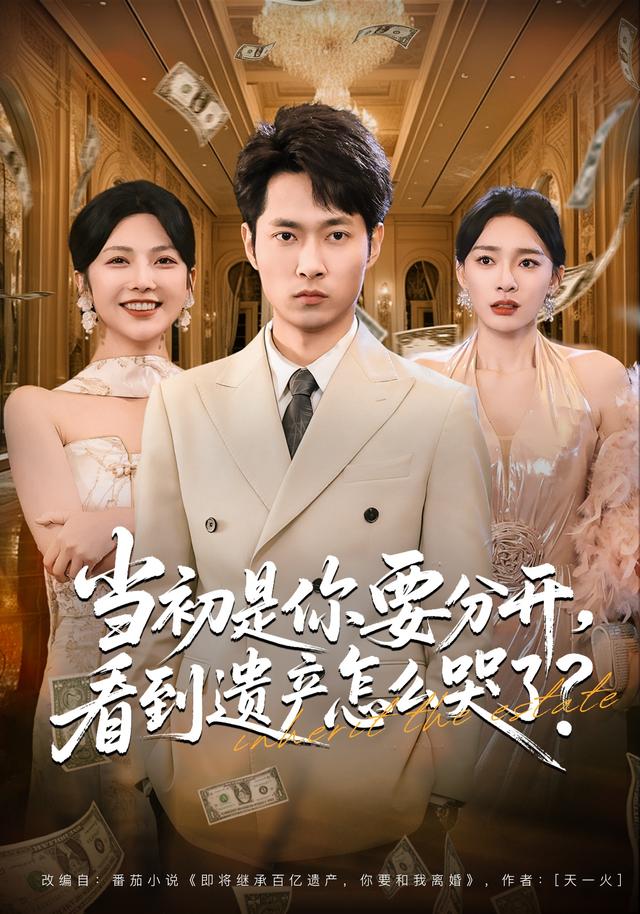 《当初是你要分开，看到遗产怎么哭了？》剧照