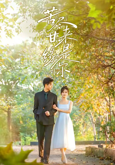《苦尽甘来缘是你》剧照