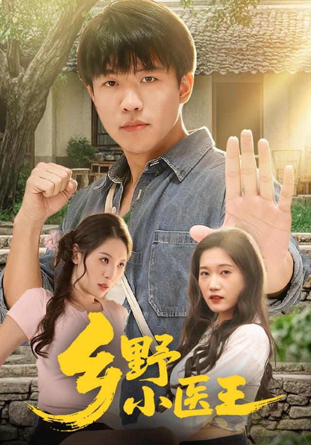《乡野小医王》剧照