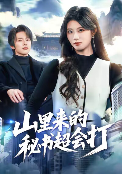 《山里来的秘书超会打》剧照