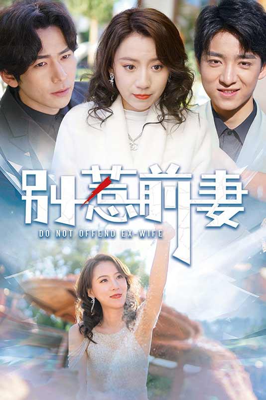 《别惹前妻》剧照