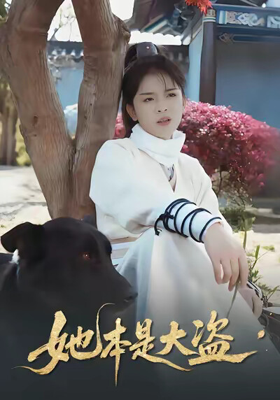 《她本是大盗》剧照