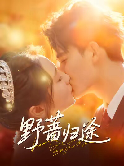 《野蔷归途》剧照