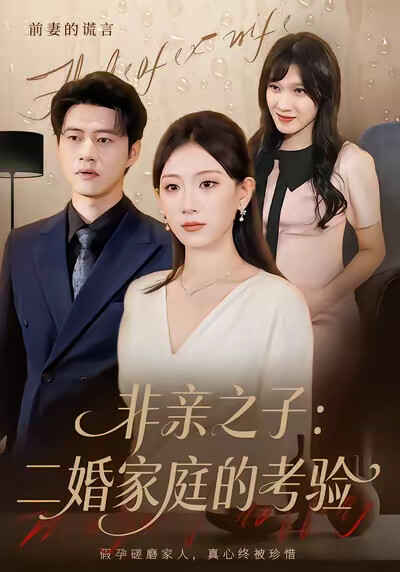 《非亲之子：二婚家庭的考验》剧照