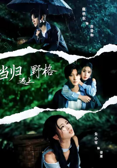 《当归遇上野格》剧照