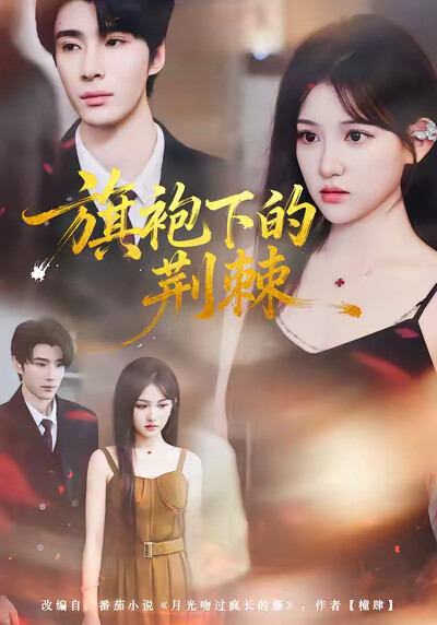 《旗袍下的荆棘》剧照