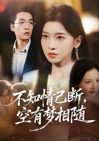 《不知情已断，空有梦相随》剧照