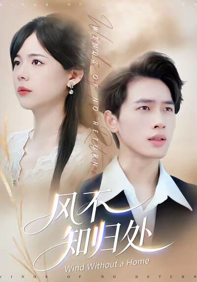 《风不知归处》剧照