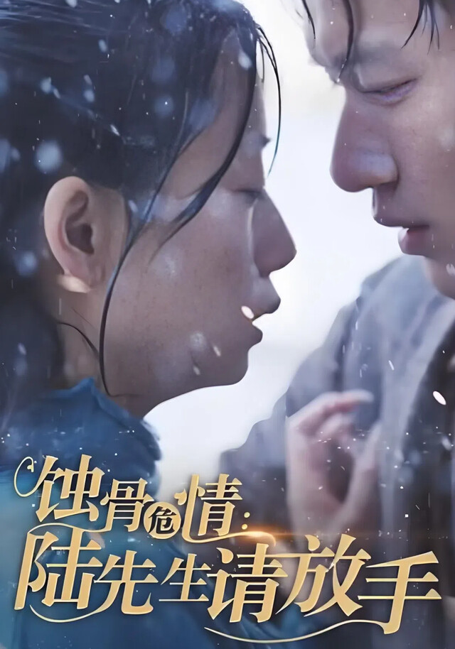 《蚀骨危情：陆先生请放手》剧照