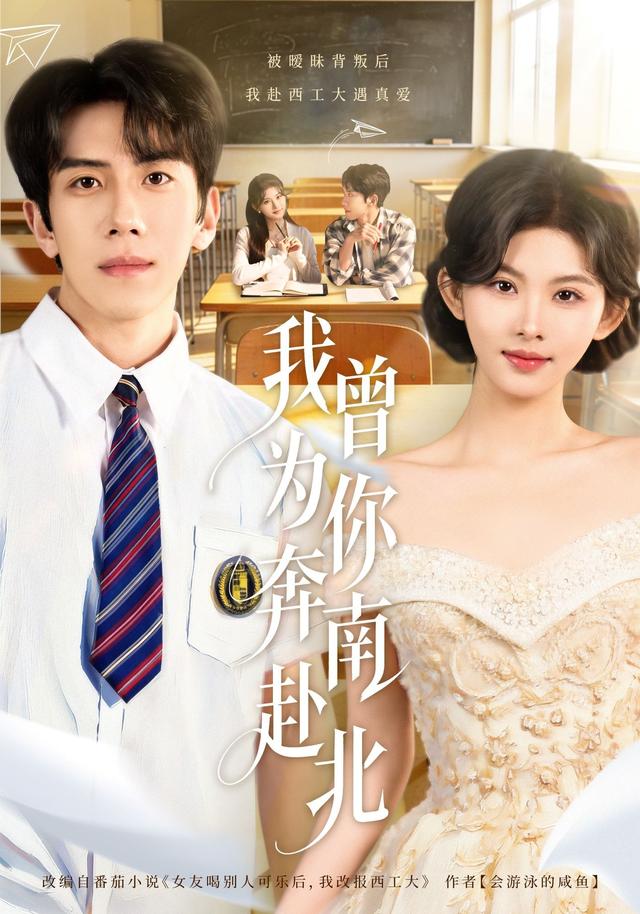 《我曾为你奔南赴北》剧照