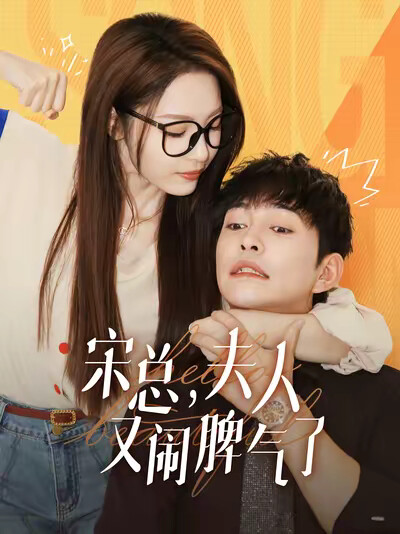 《宋总，夫人又闹脾气了》剧照