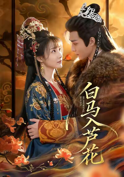 《白马入芦花》剧照