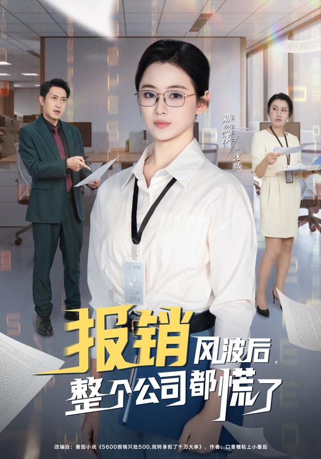 《报销风波后，整个公司都慌了》剧照