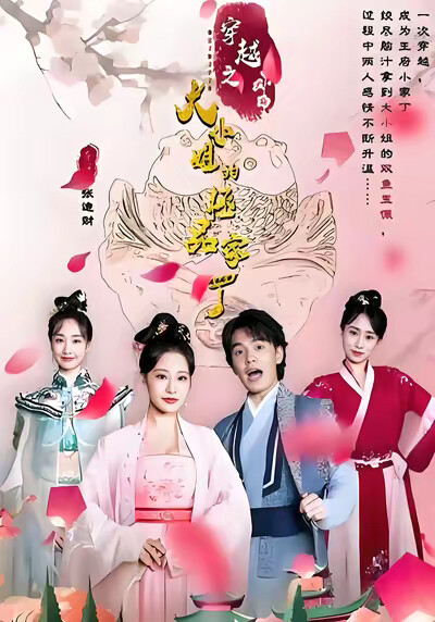 《穿越之大小姐的极品家丁》剧照