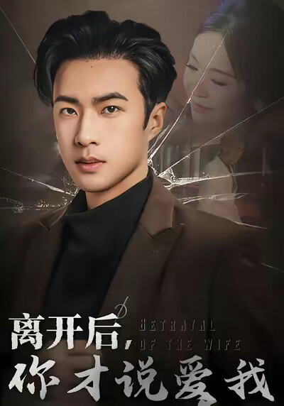 《离开后，你才说爱我》剧照