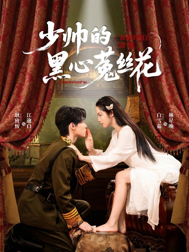 《少帅的黑心菟丝花》剧照