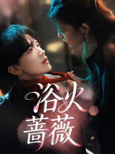 《浴火蔷薇》剧照