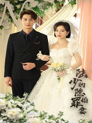 《陆少的隐婚罪妻》剧照