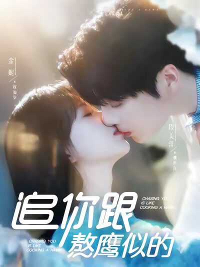 《追你跟熬鹰似的》剧照