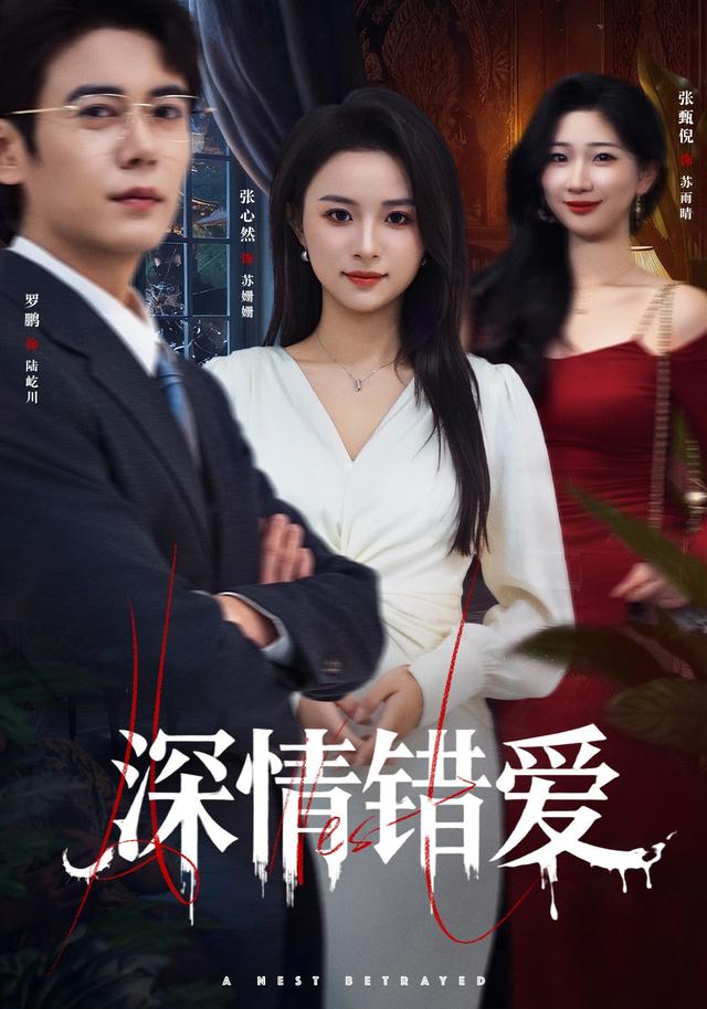 《深情错爱》剧照