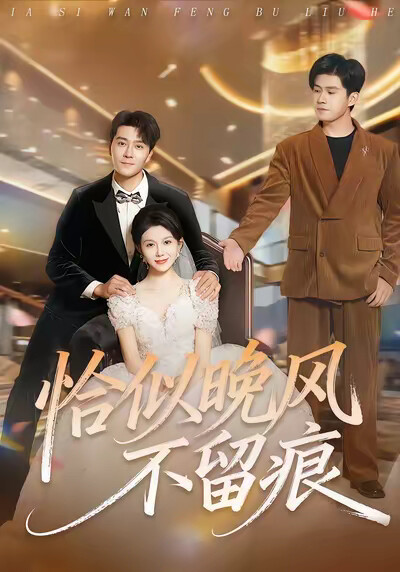 《恰似晚风不留痕》剧照