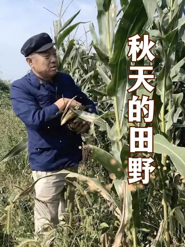 《秋天的田野》剧照