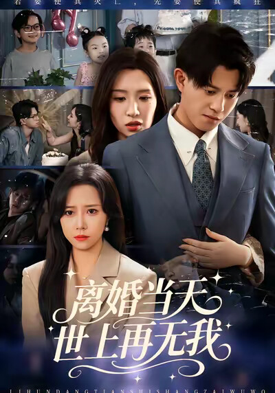《离婚当天，世上再无我》剧照