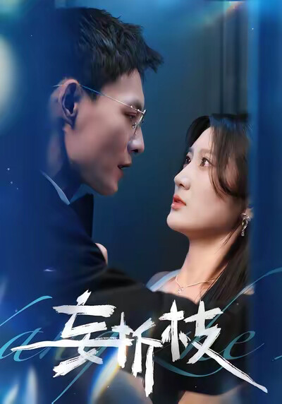 《妄折枝》剧照