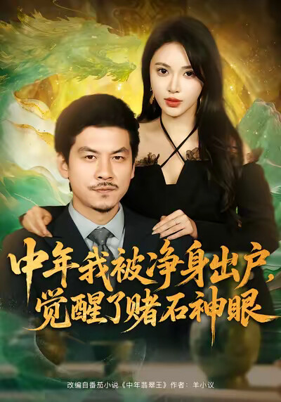 《中年我被净身出户，觉醒了赌石神眼》剧照