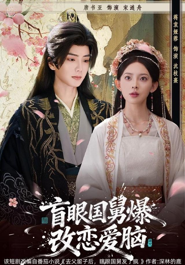 《盲眼国舅，爆改恋爱脑》剧照