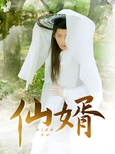 《仙婿》剧照