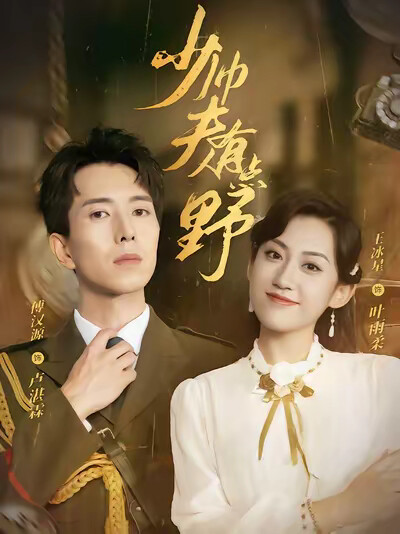 《少帅夫人有点野》剧照