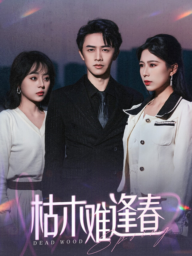 《枯木难逢春》剧照