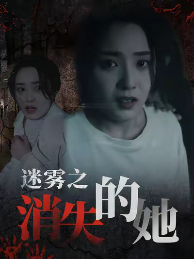 《迷雾之消失的她》剧照