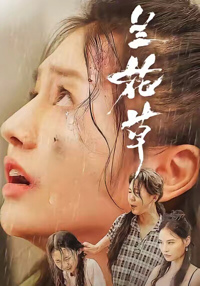 《兰花草》剧照