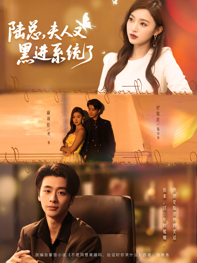 《陆总，夫人又黑进系统了》剧照