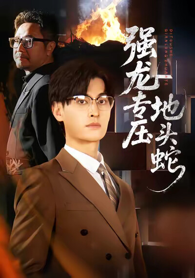 《强龙专压地头蛇》剧照