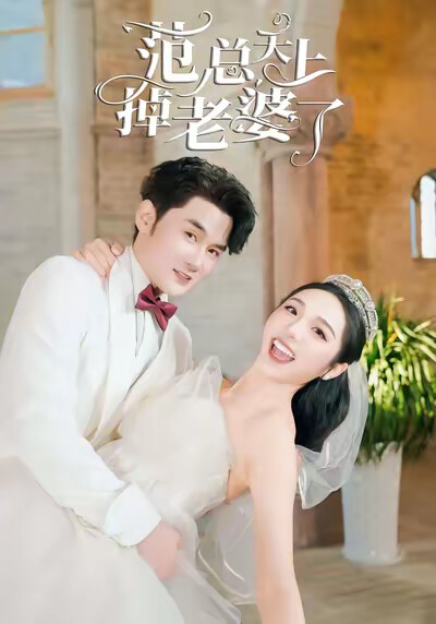 《范总天上掉老婆了》剧照