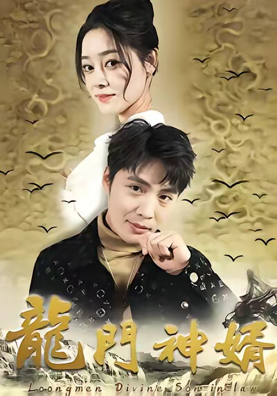 《龍门神婿》剧照
