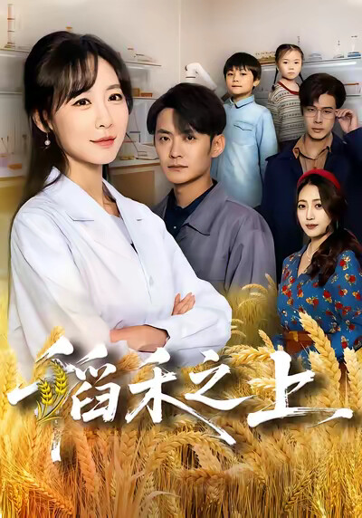 《稻禾之上》剧照