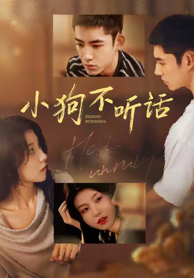 《小狗不听话》剧照